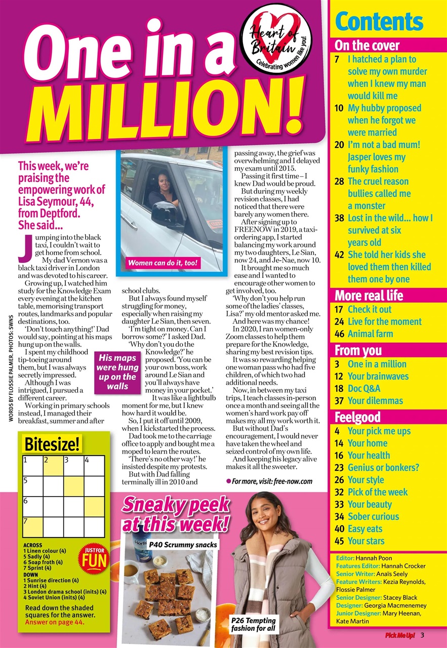 Pick Me Up Preview Pages