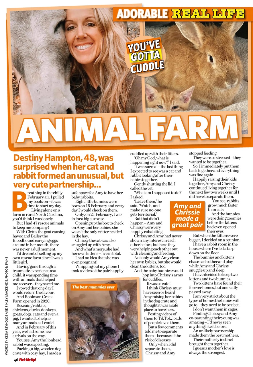 Pick Me Up Preview Pages