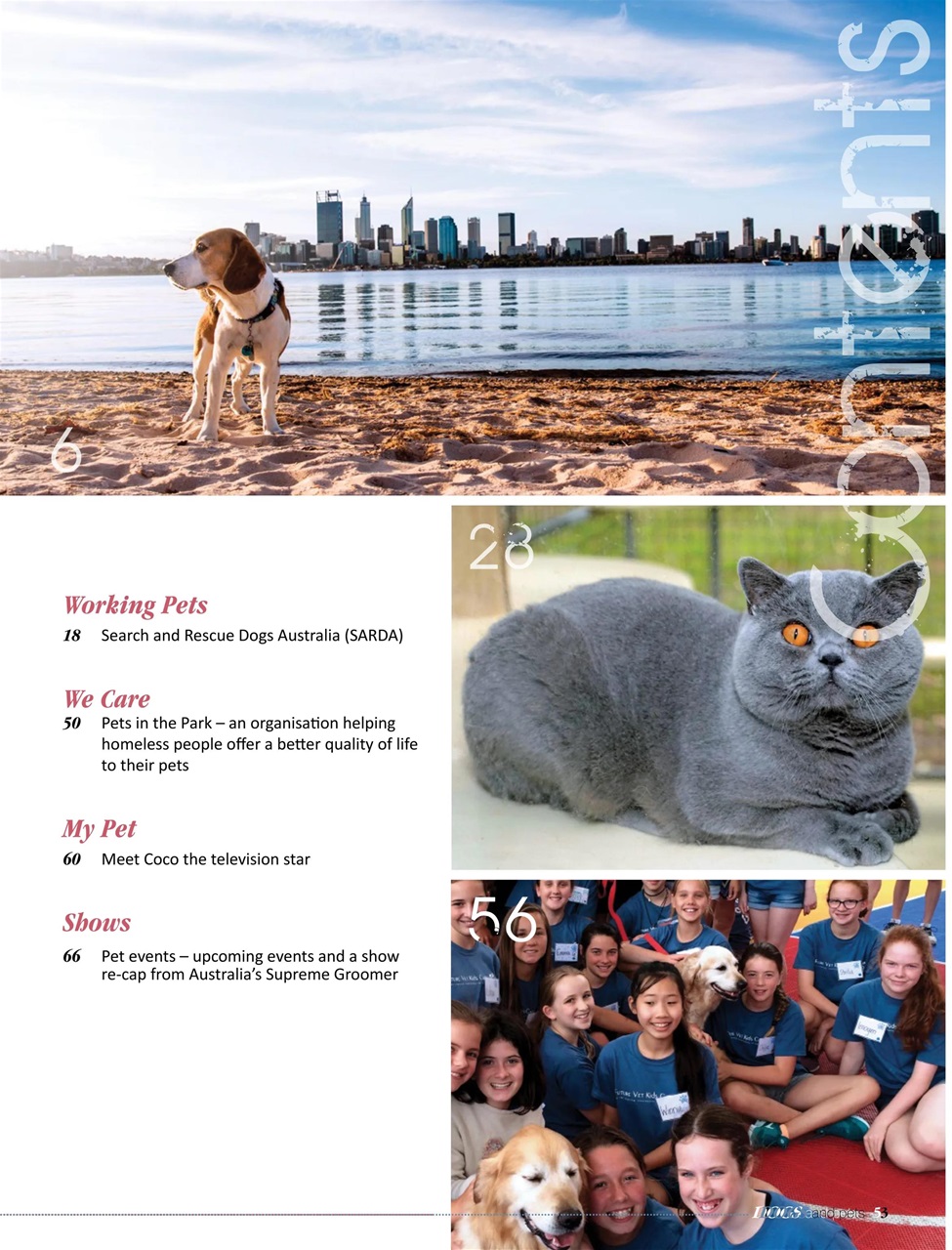 Dogs and Pets Preview Pages