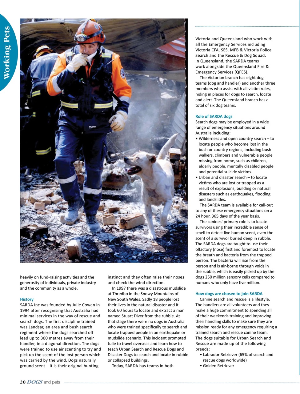 Dogs and Pets Preview Pages