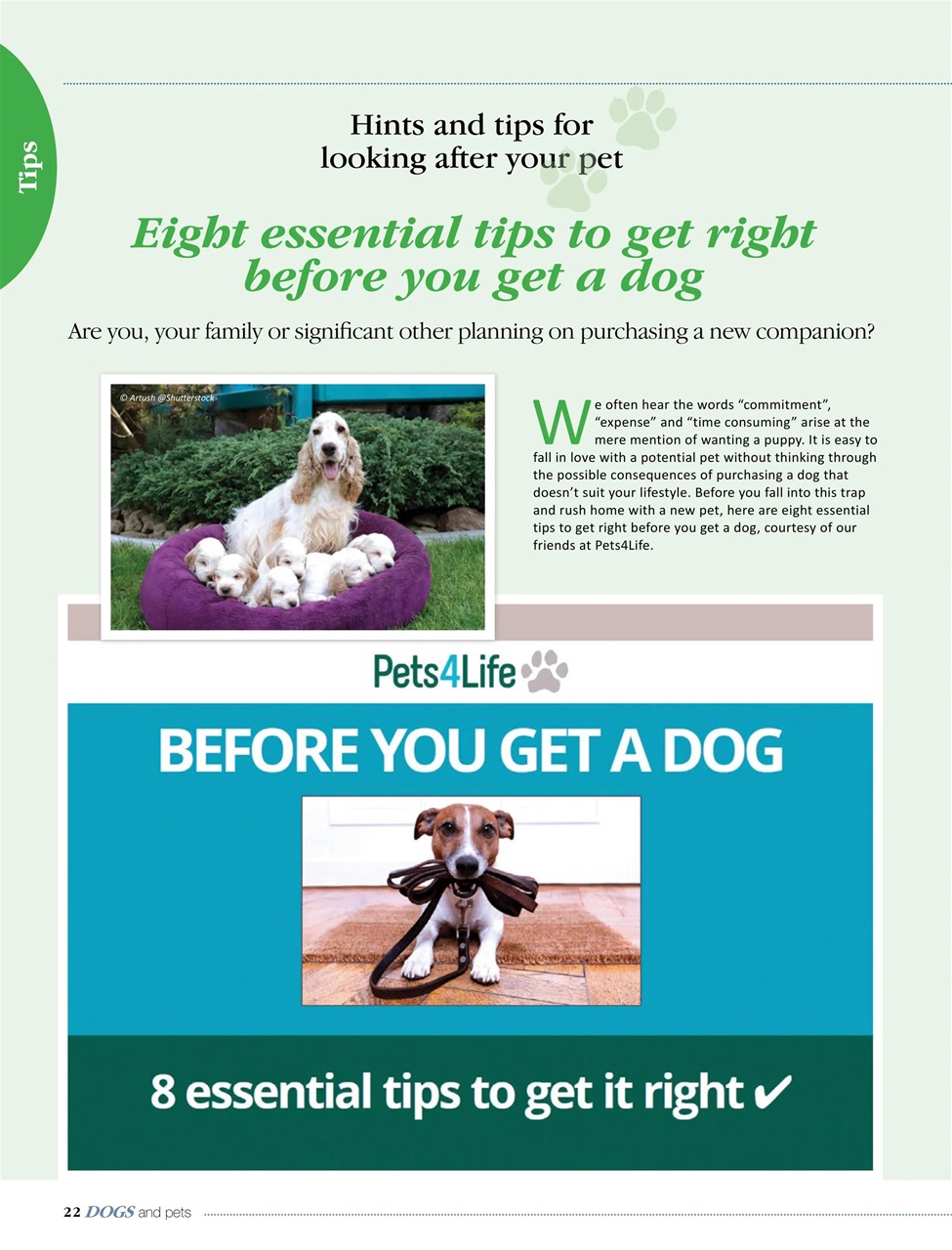 Dogs and Pets Preview Pages