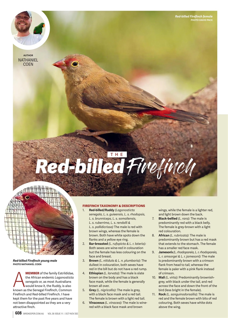 Australian Birdkeeper Magazine Preview Pages