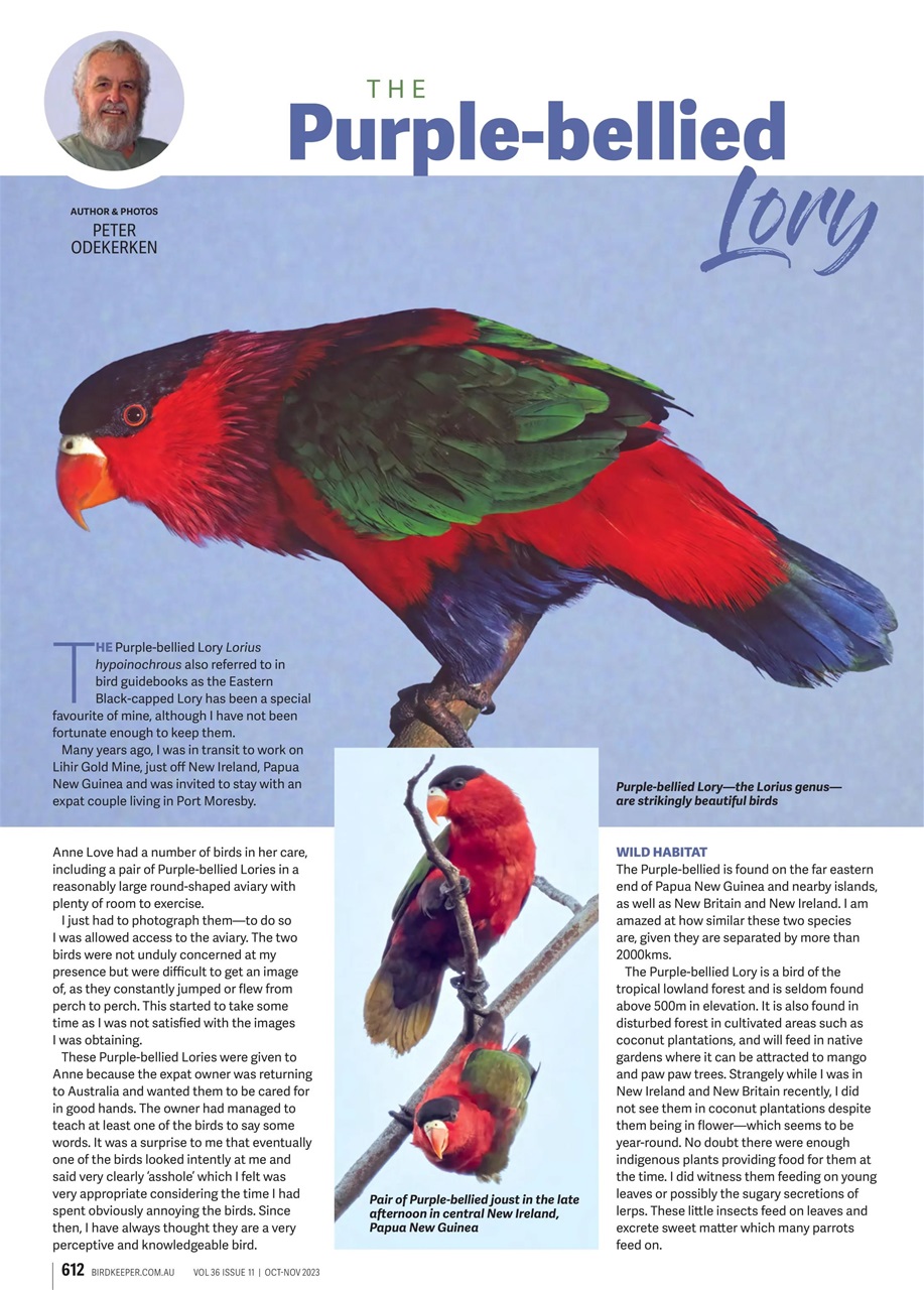 Australian Birdkeeper Magazine Preview Pages