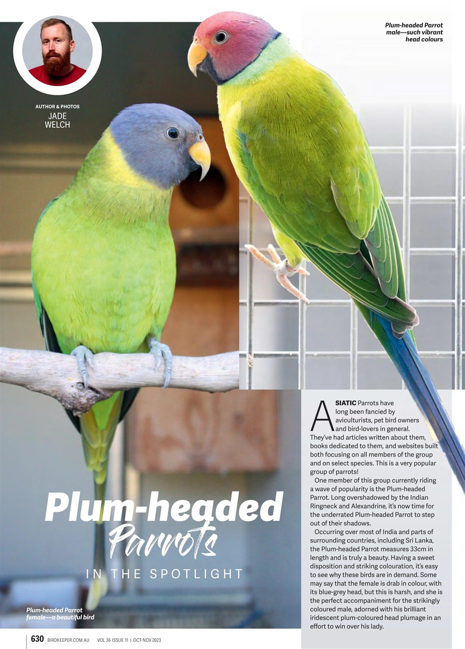 Australian Birdkeeper Magazine Preview Pages
