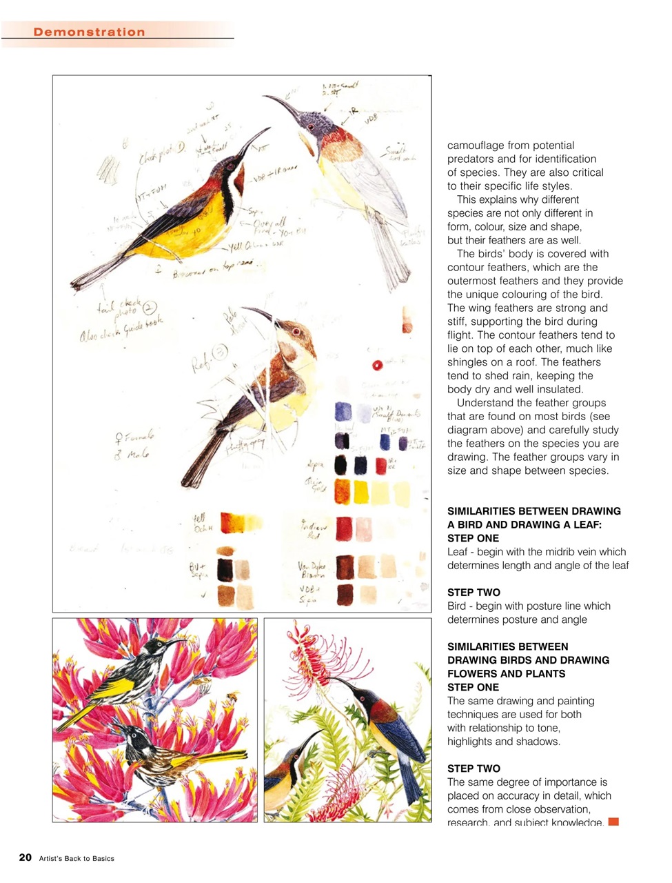 Artists Back to Basics Preview Pages