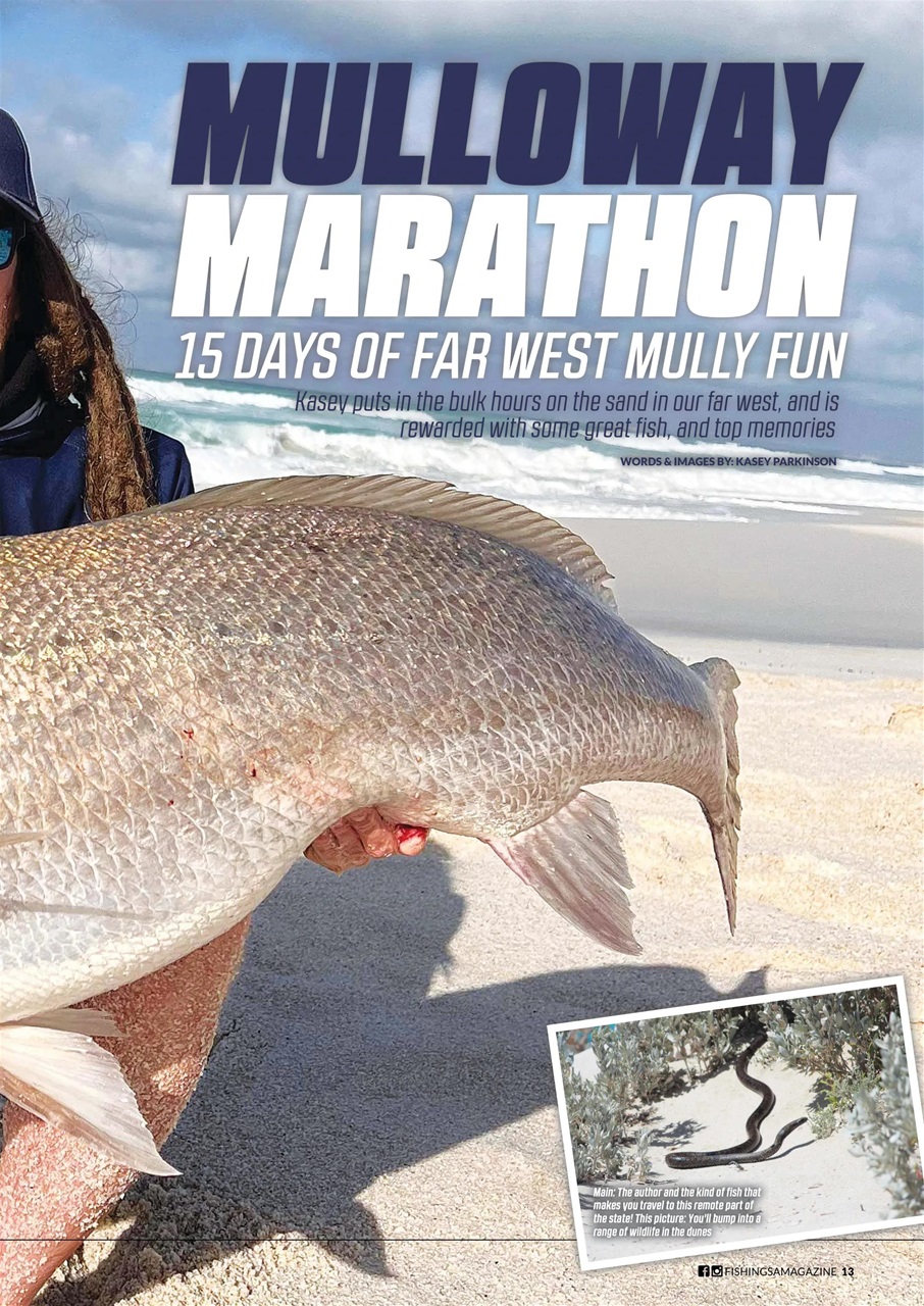 Fishing SA Preview Pages