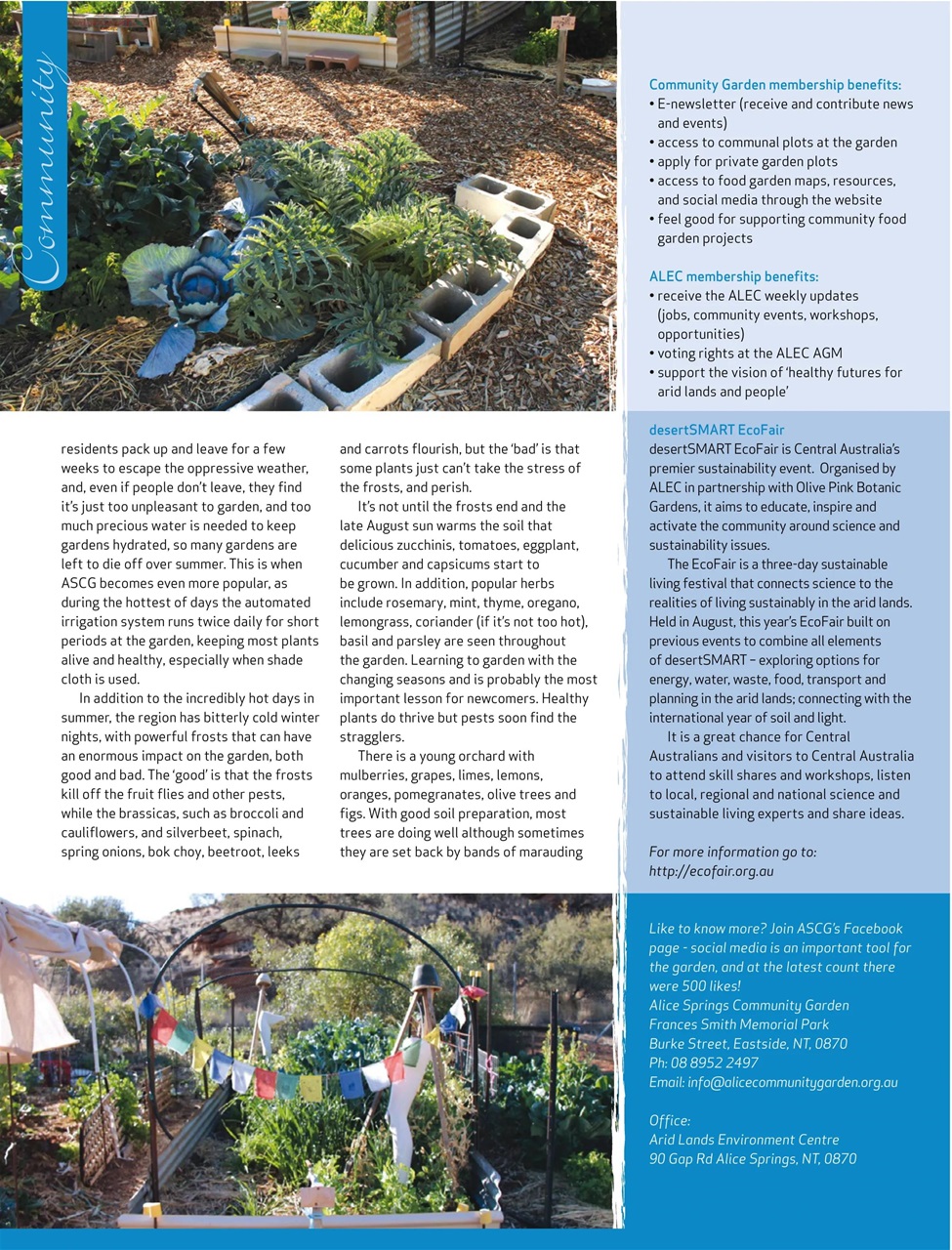 HomeGrown Preview Pages