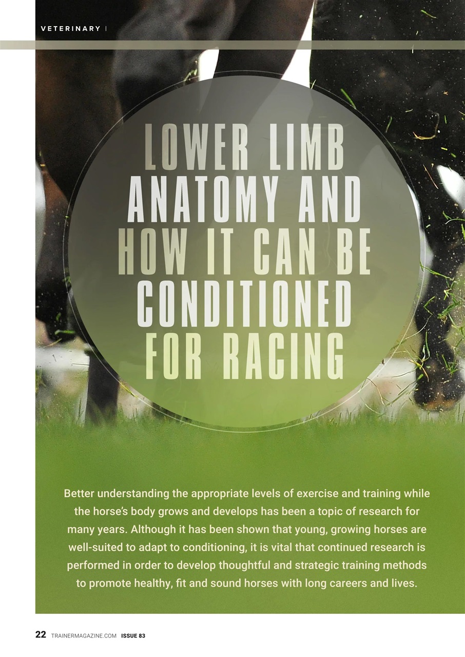 European Trainer Magazine - horse racing Preview Pages