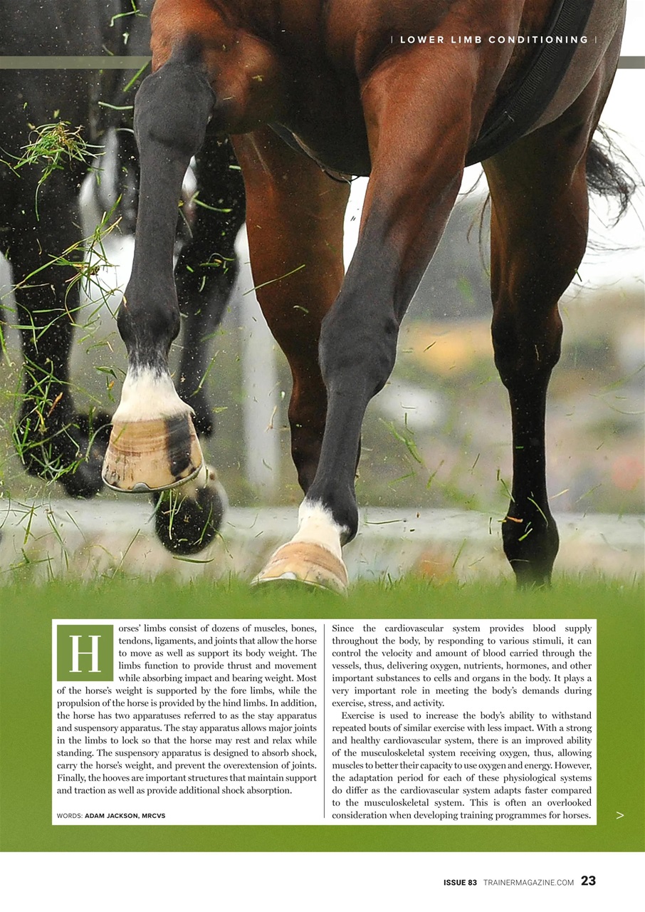 European Trainer Magazine - horse racing Preview Pages