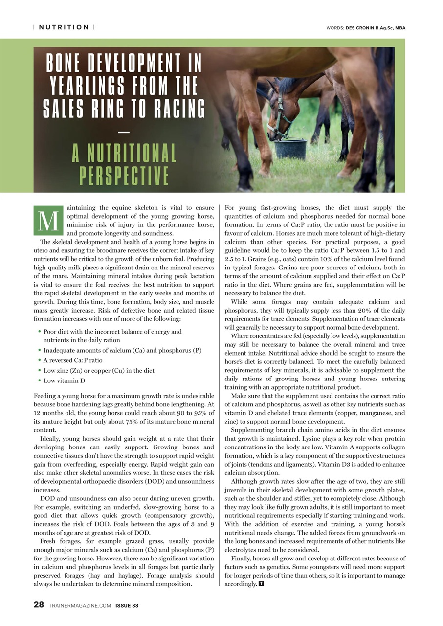 European Trainer Magazine - horse racing Preview Pages