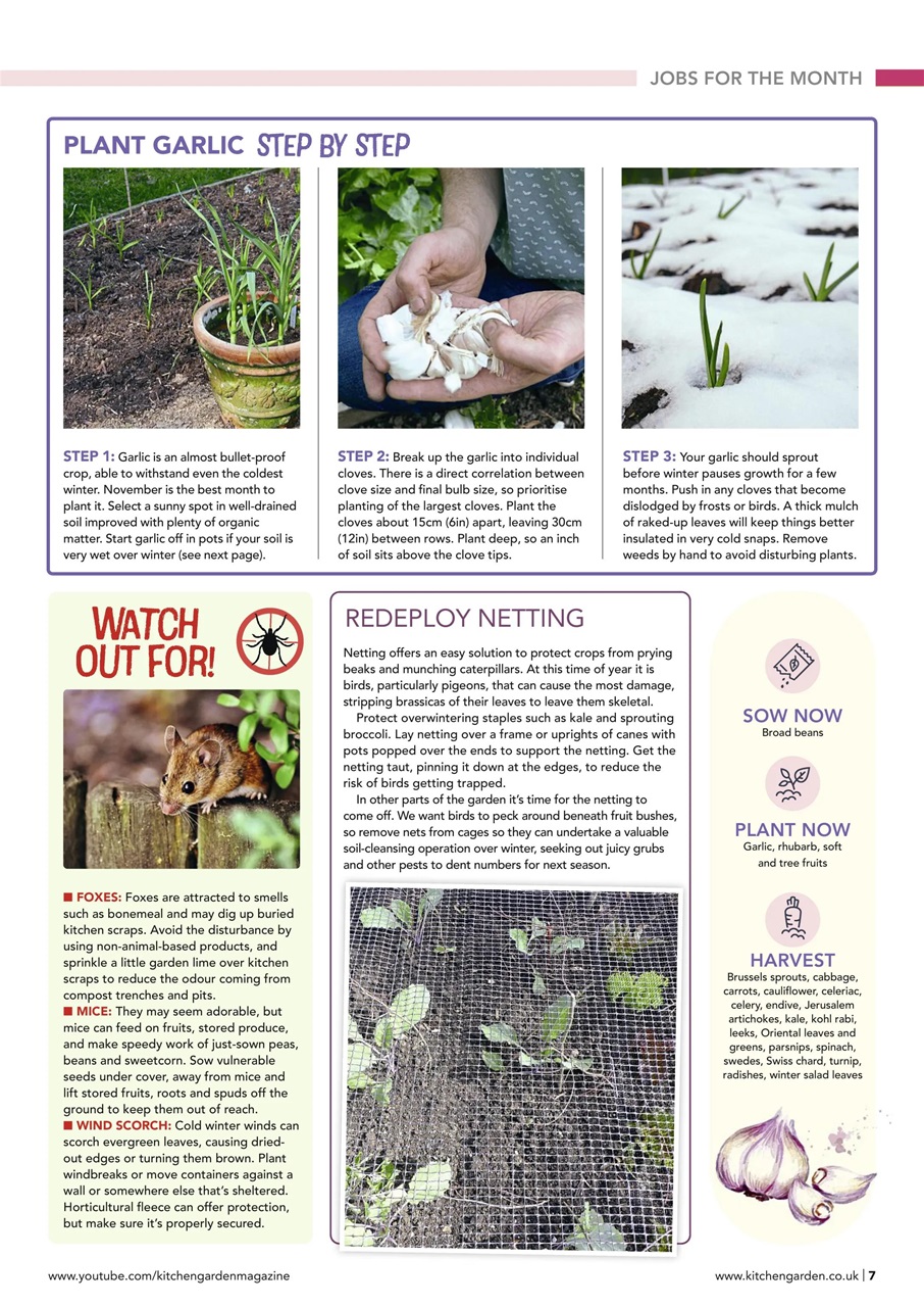 Kitchen Garden Magazine Preview Pages