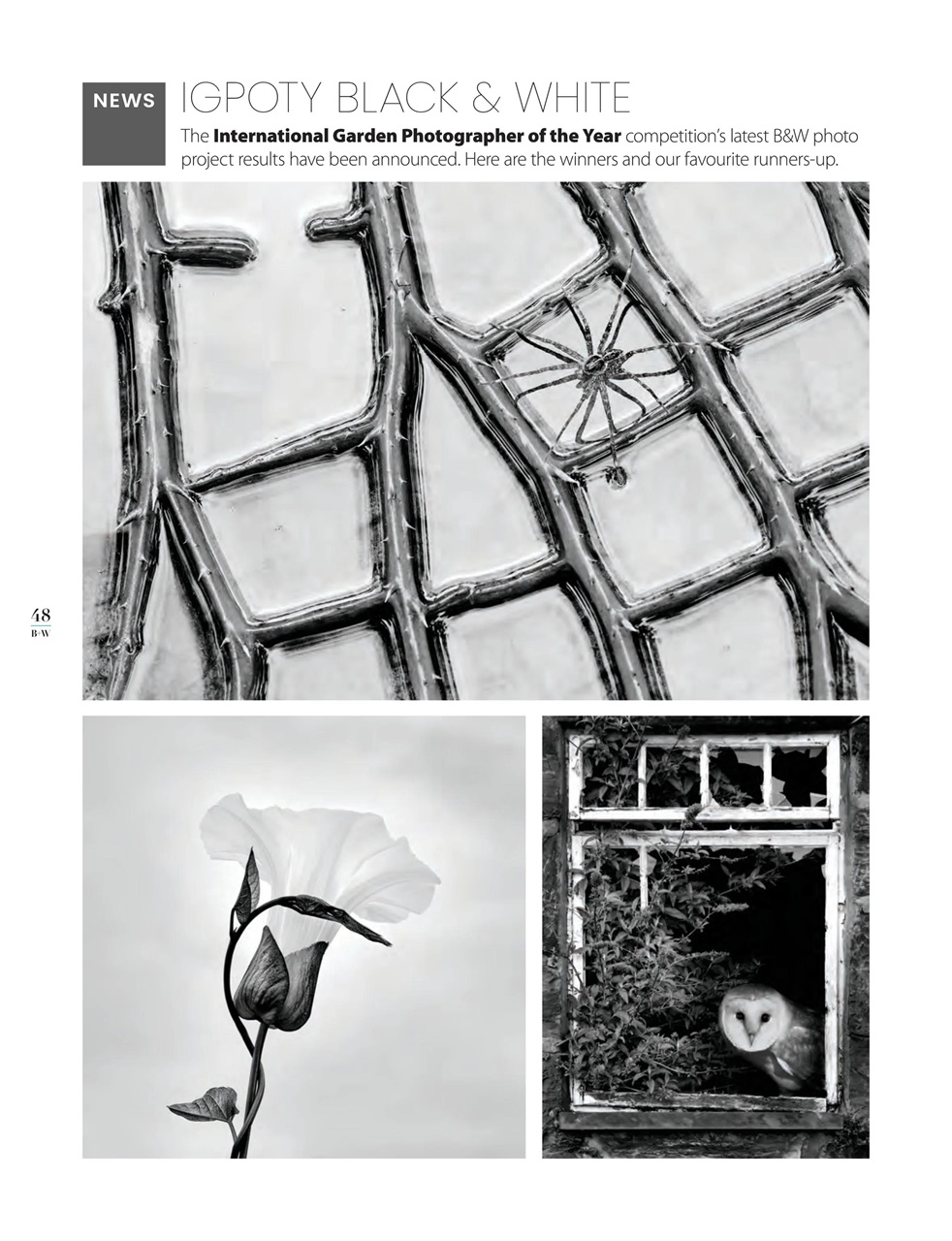 Black+White Photography Preview Pages