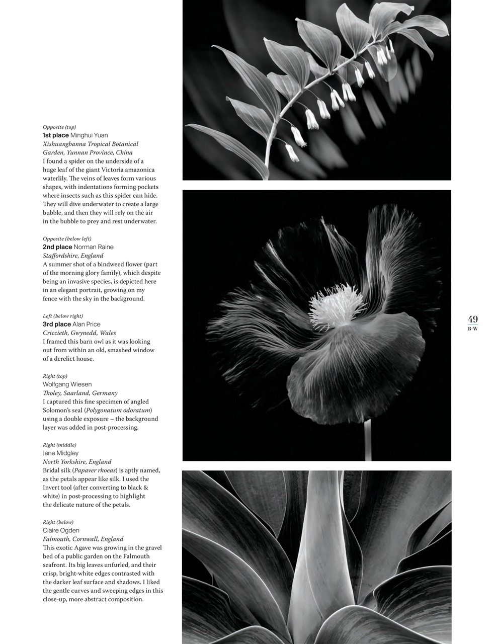 Black+White Photography Preview Pages