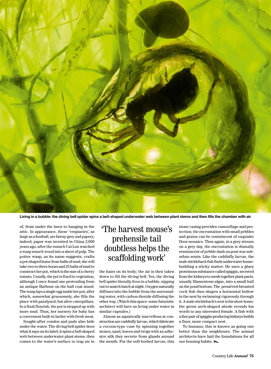 Country Life Bookazine Preview Pages