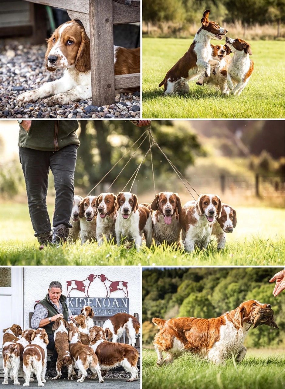 Country Life Bookazine Preview Pages