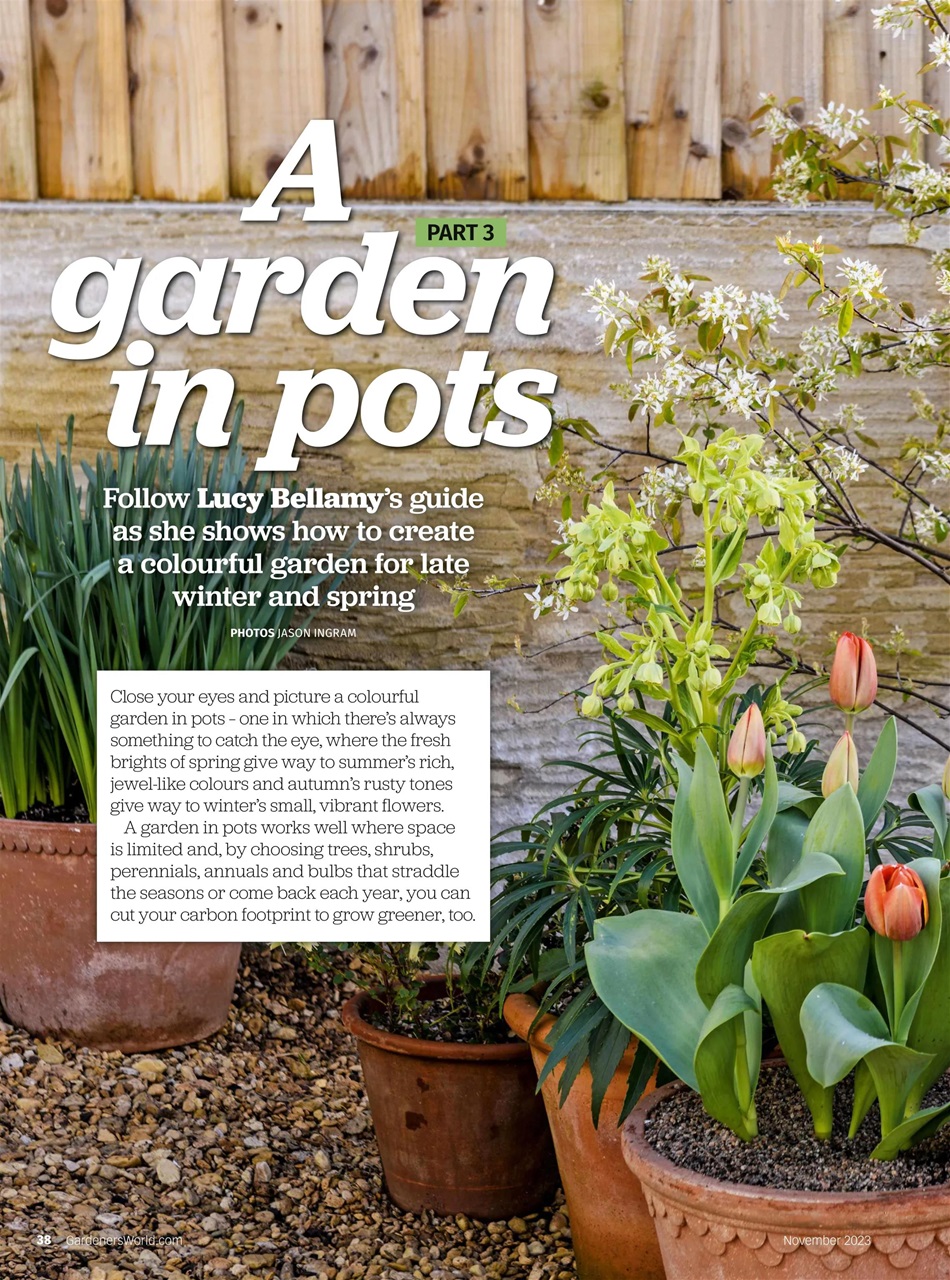 BBC Gardeners’ World Magazine Preview Pages