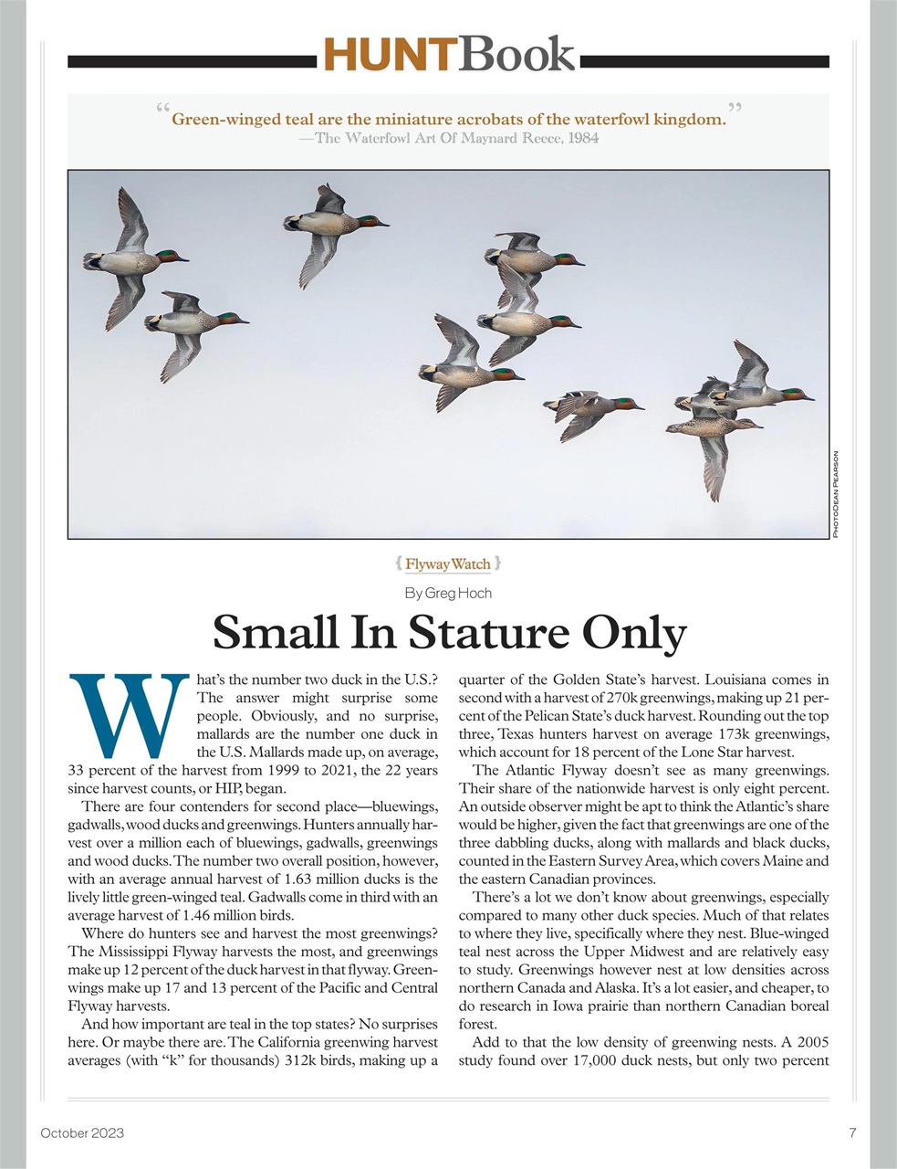 American Waterfowler Preview Pages