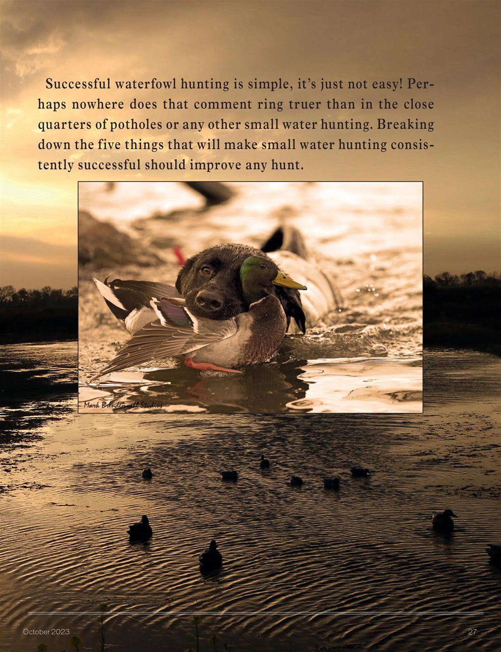American Waterfowler Preview Pages