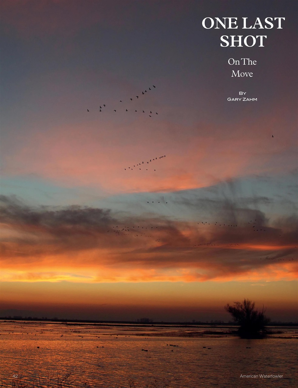 American Waterfowler Preview Pages