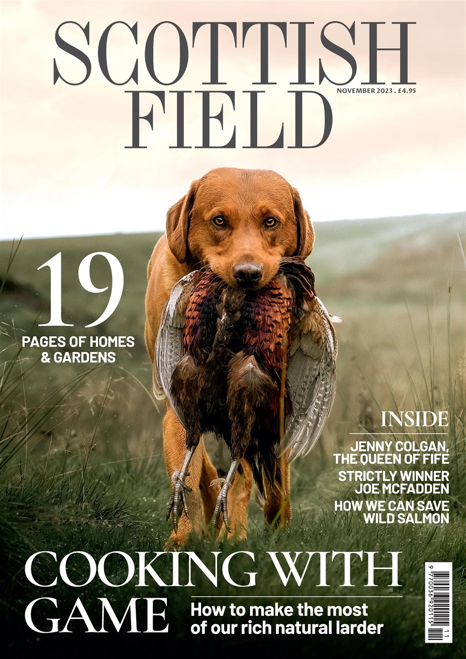 Scottish Field Preview Pages