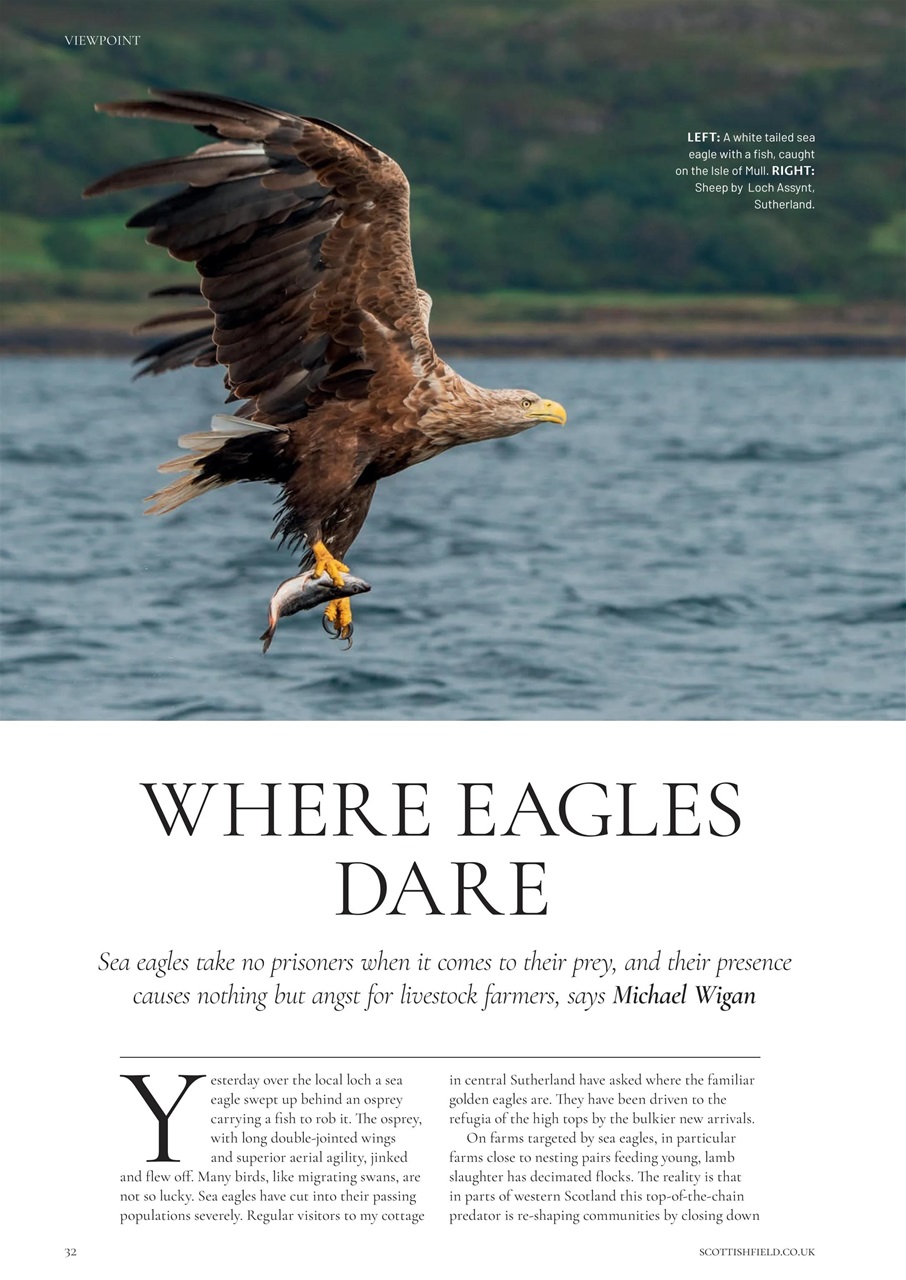 Scottish Field Preview Pages