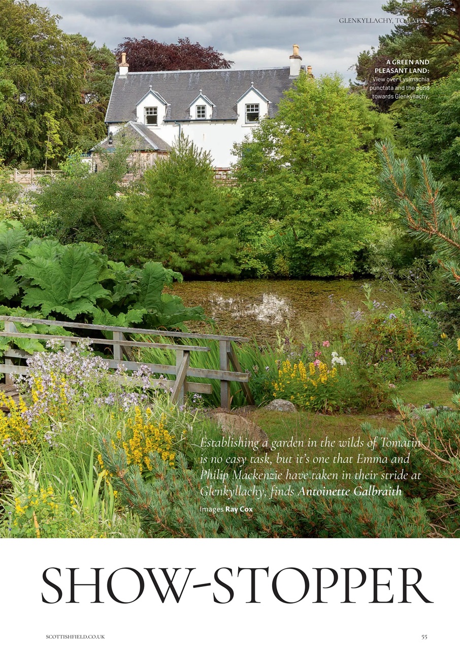 Scottish Field Preview Pages