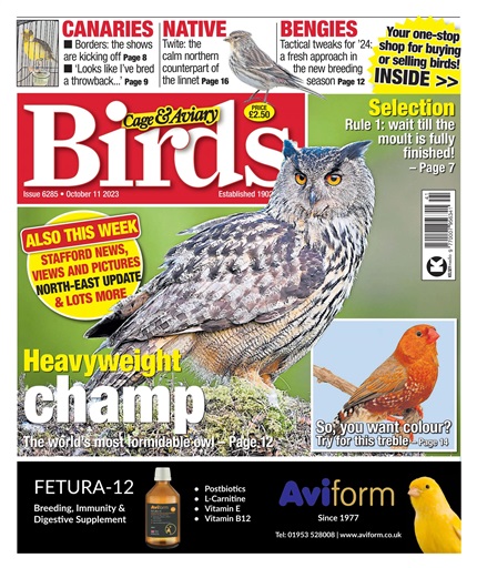 Cage & Aviary Birds issue 