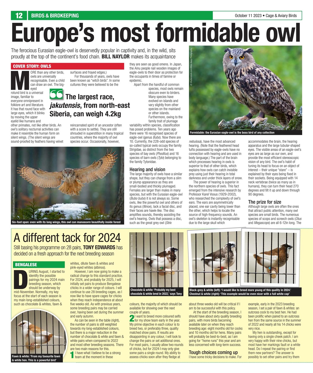 Cage & Aviary Birds Preview Pages