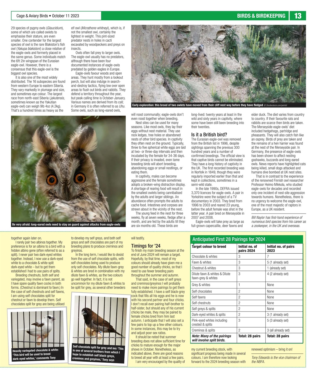 Cage & Aviary Birds Preview Pages