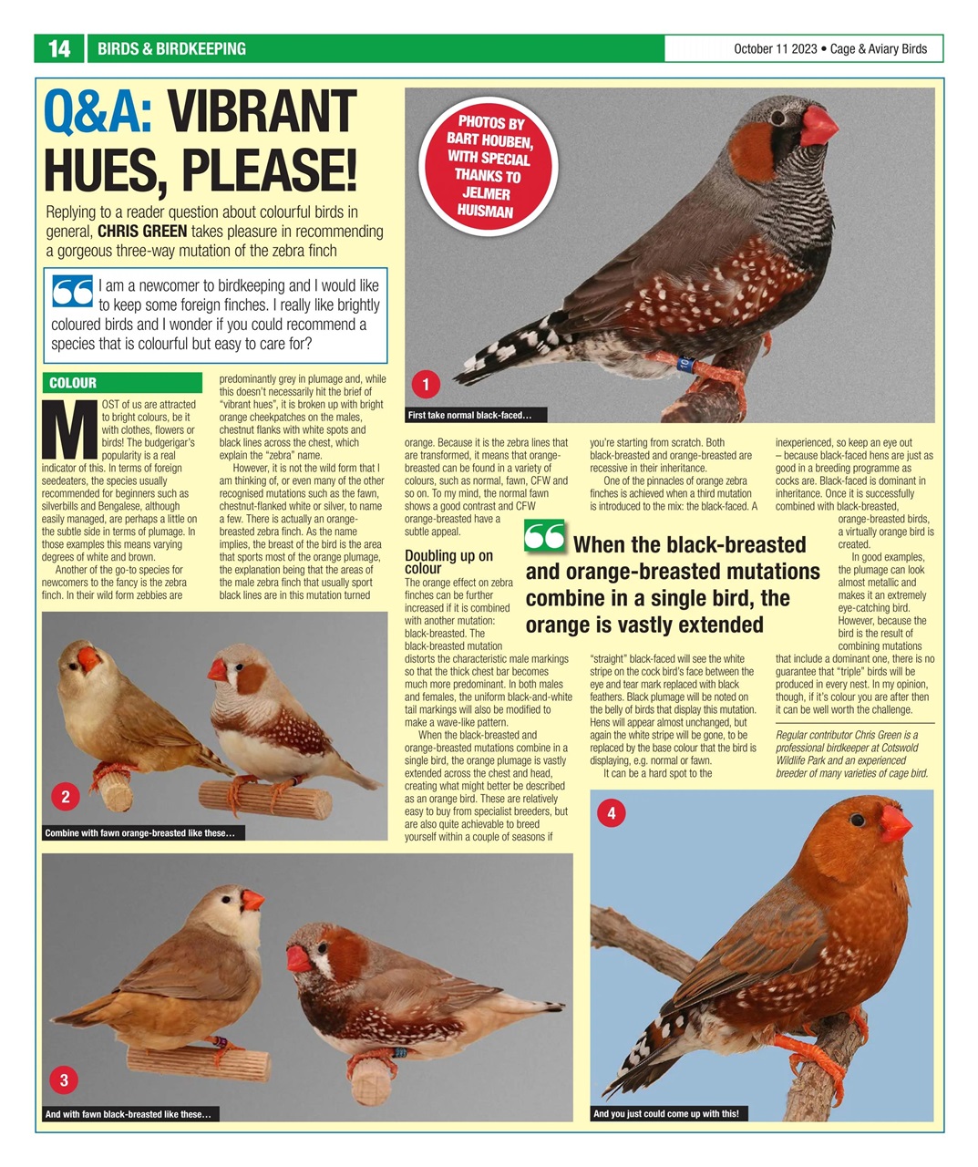 Cage & Aviary Birds Preview Pages