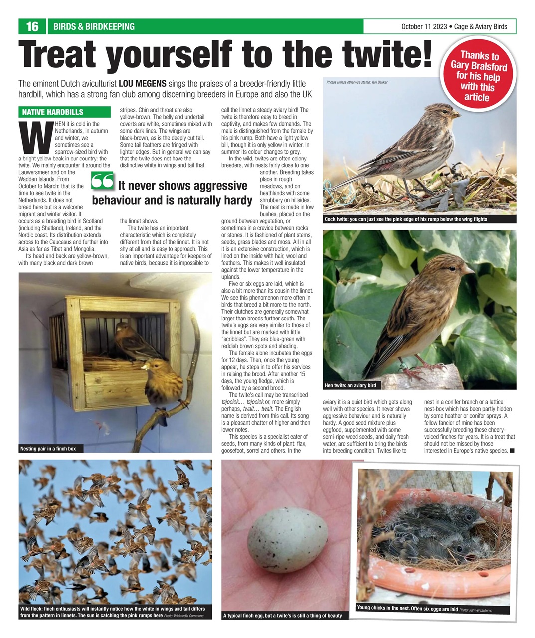 Cage & Aviary Birds Preview Pages