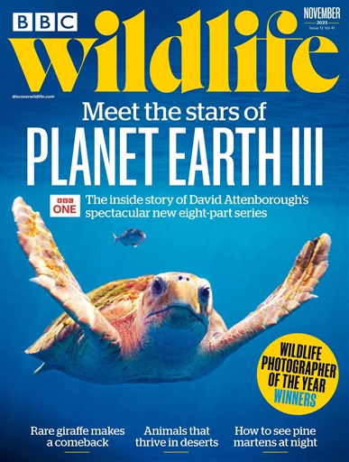 BBC Wildlife Magazine issue 