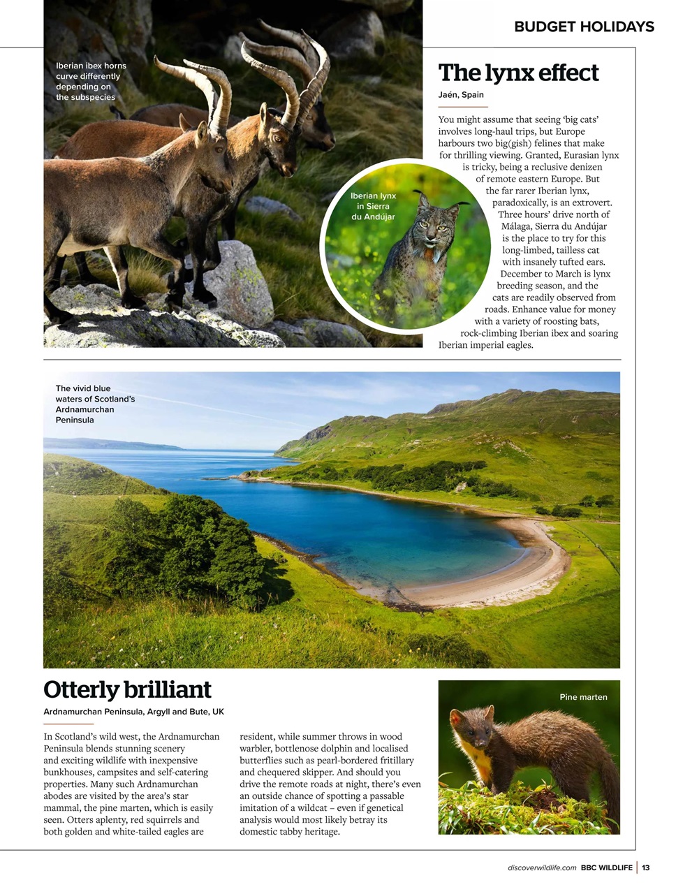 BBC Wildlife Magazine Preview Pages
