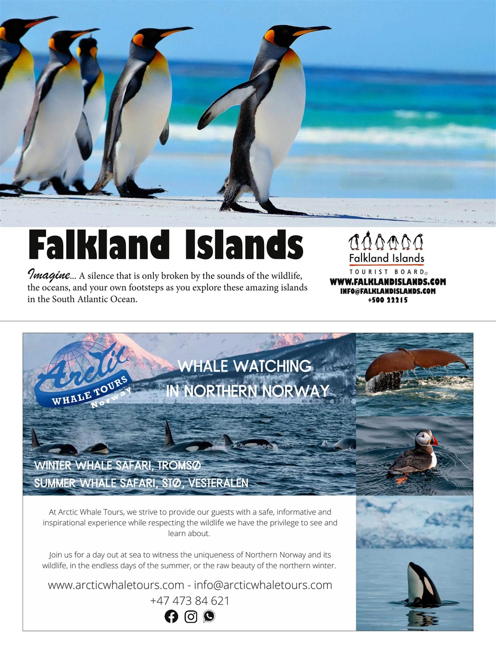 BBC Wildlife Magazine Preview Pages