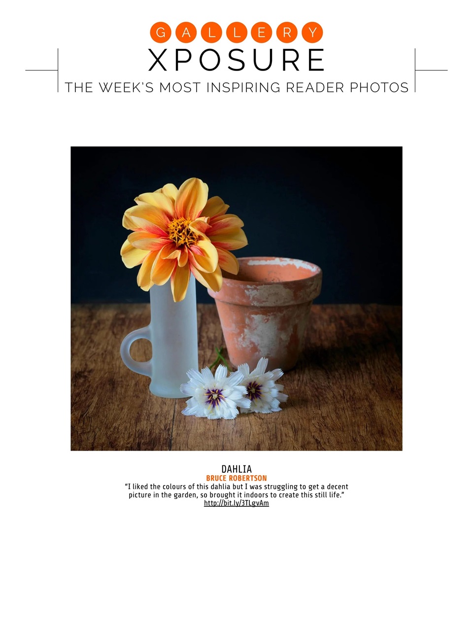 Photography Week Preview Pages