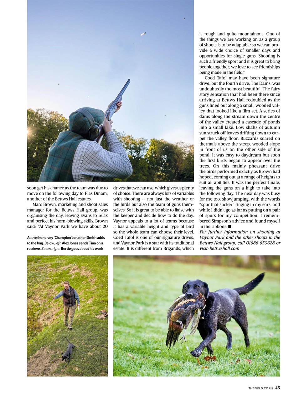 The Field Preview Pages