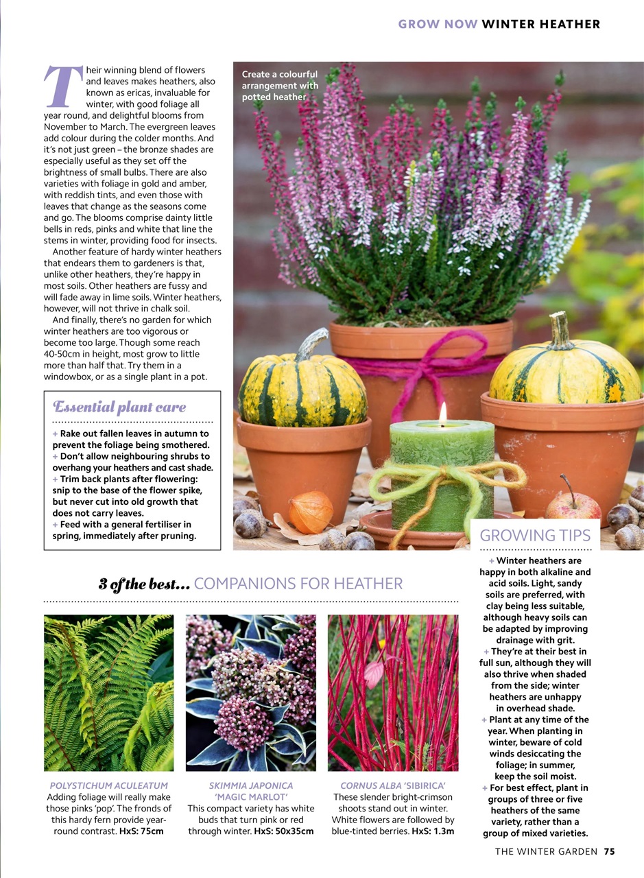 Home Interests Bookazine Preview Pages