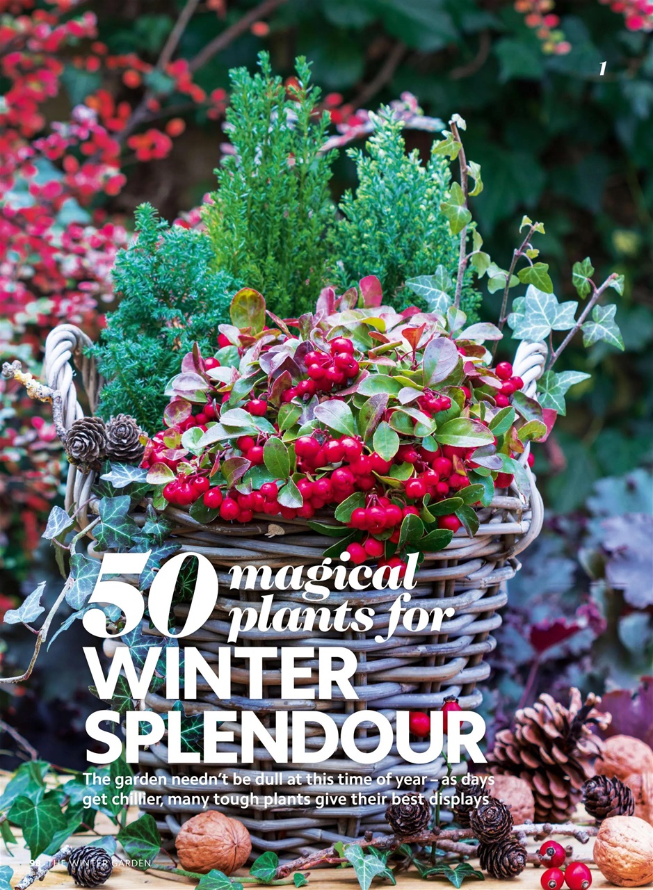 Home Interests Bookazine Preview Pages