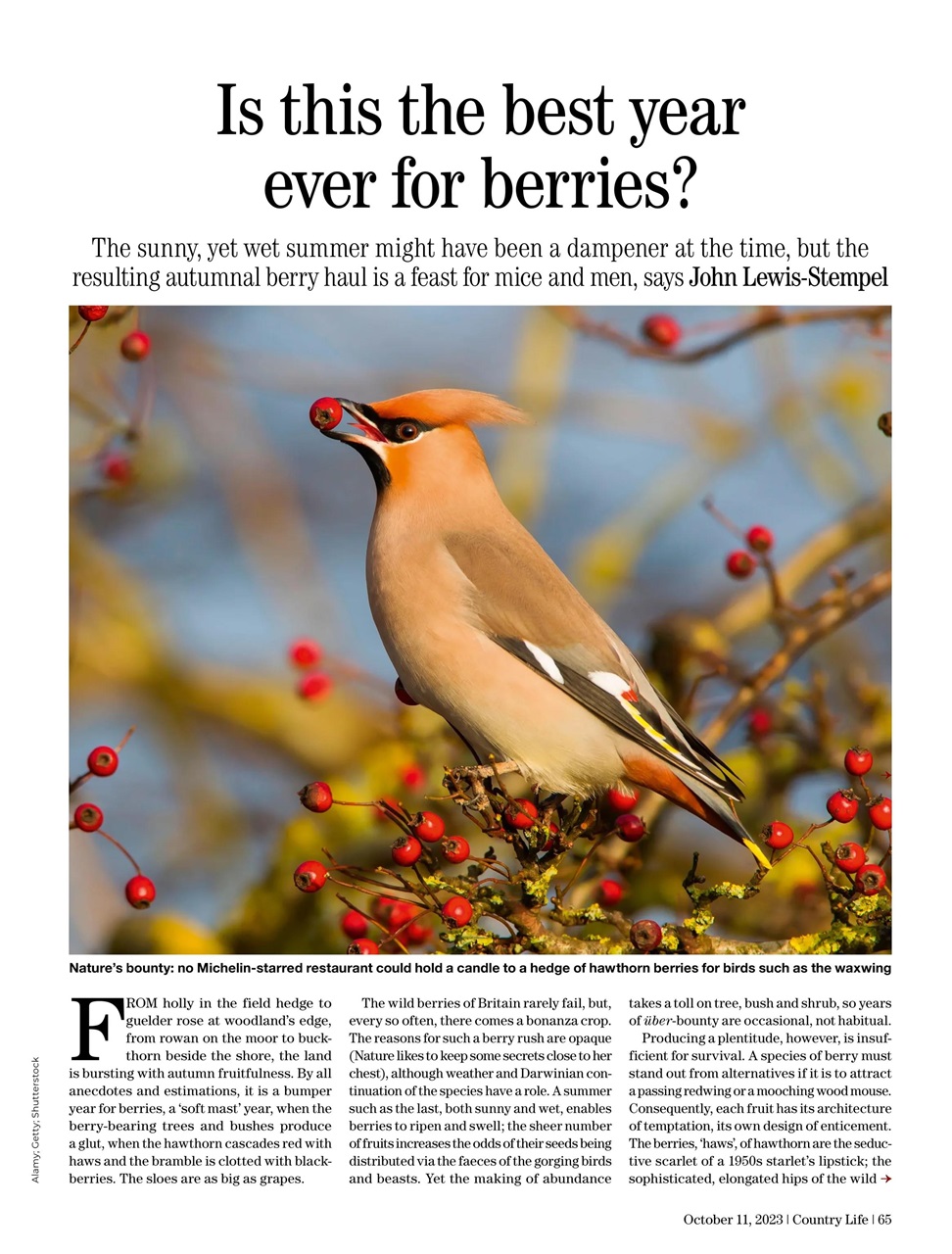 Country Life Preview Pages