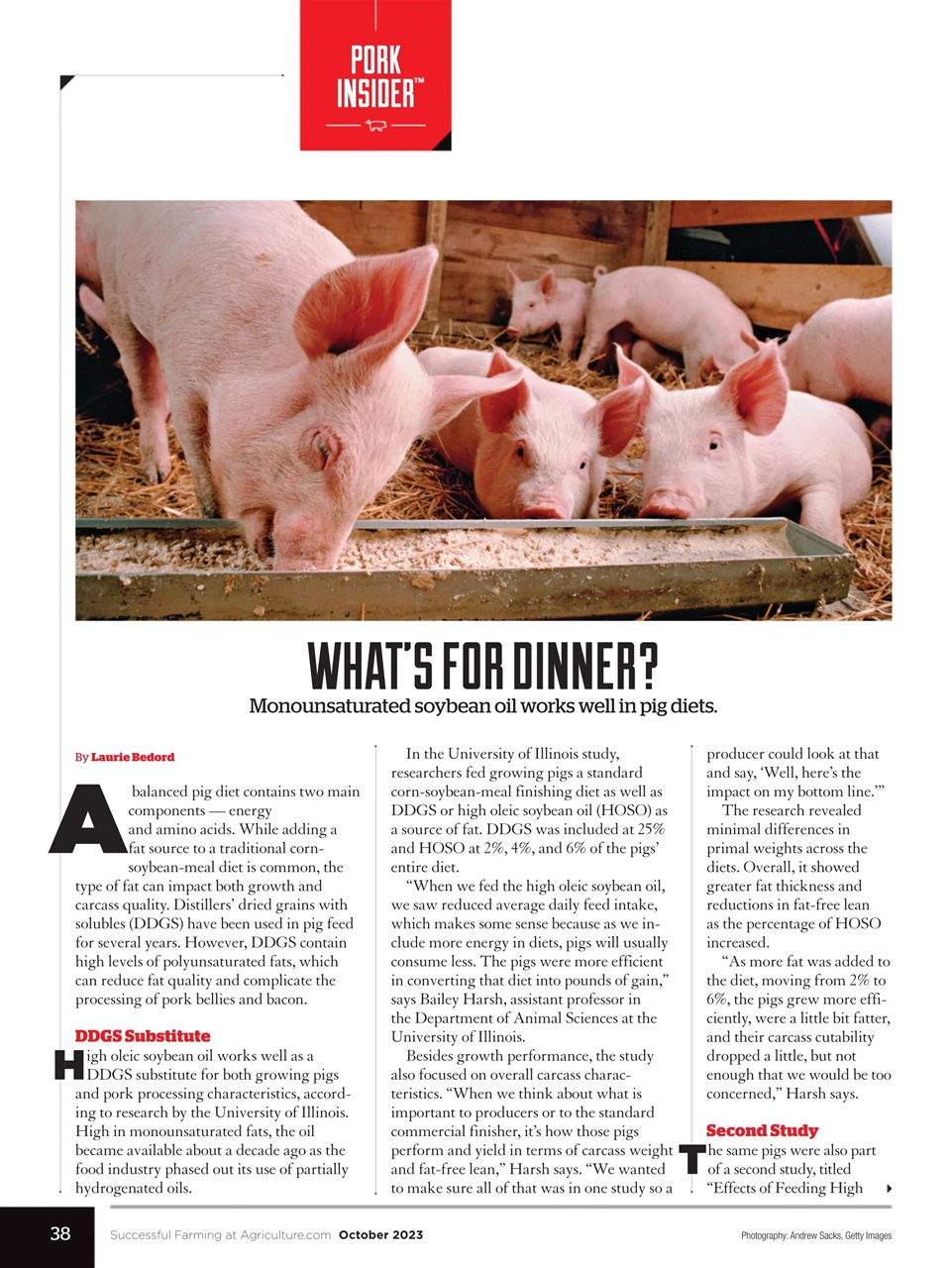 Successful Farming Preview Pages