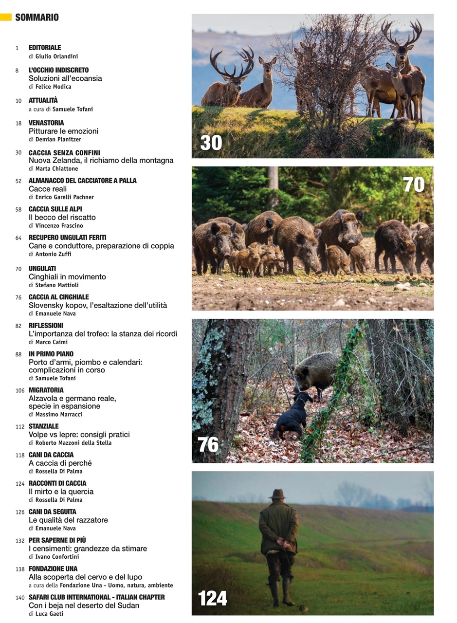 Caccia Magazine Preview Pages