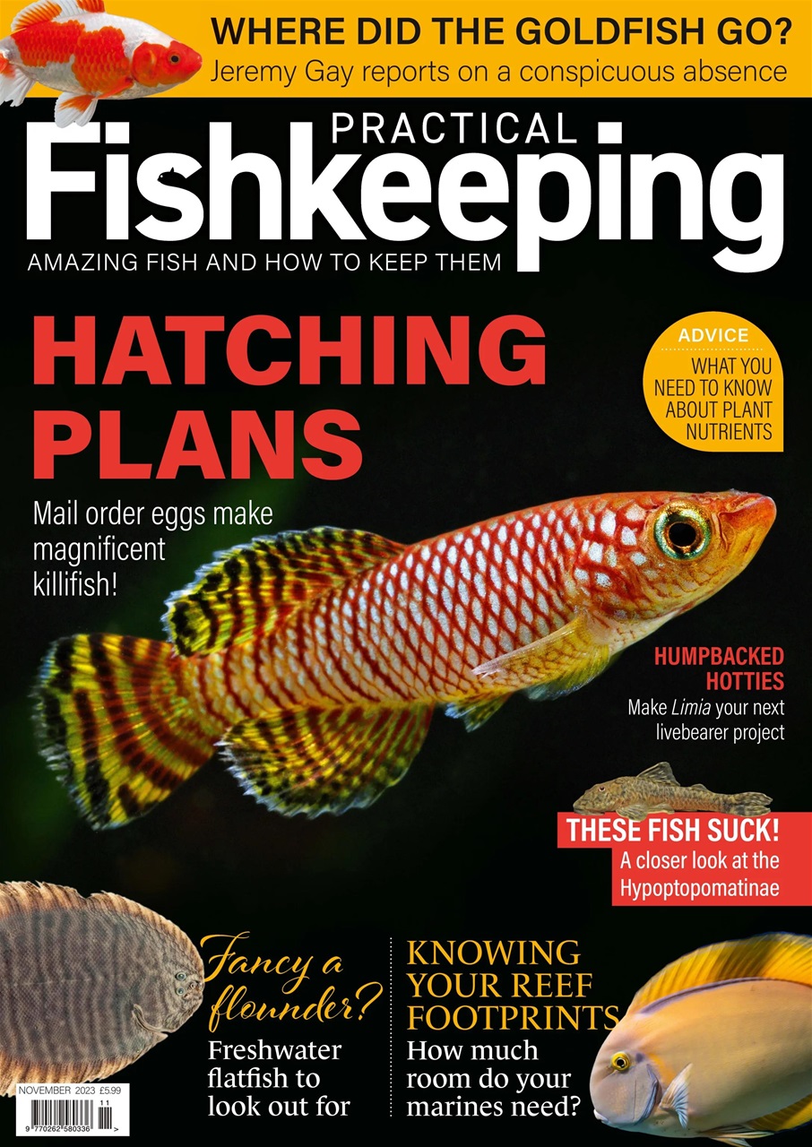 Practical Fishkeeping Preview Pages