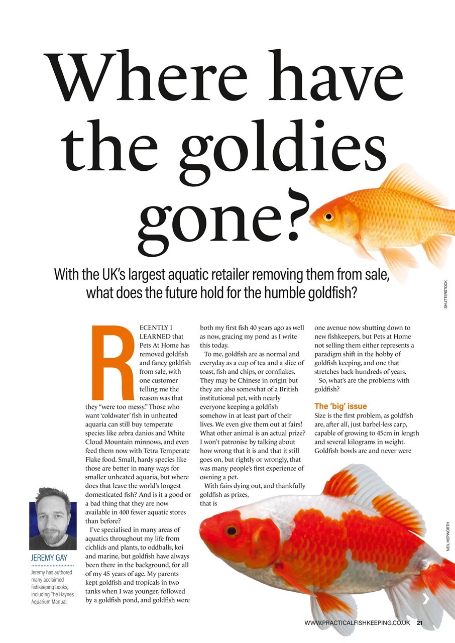 Practical Fishkeeping Preview Pages