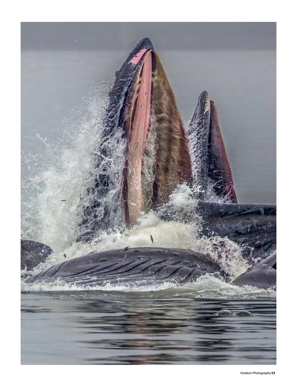 Outdoor Photography Preview Pages