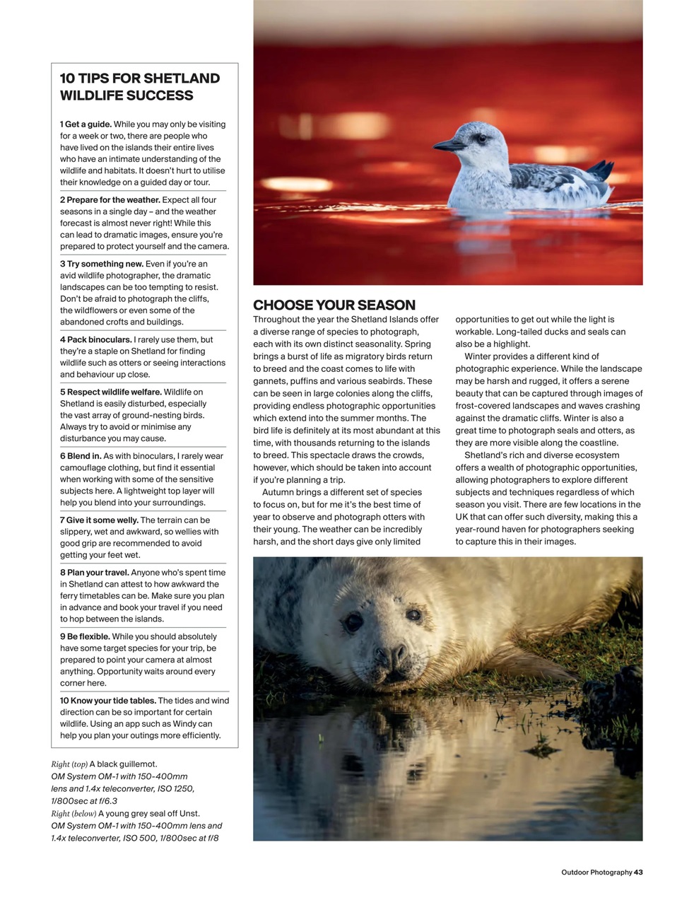 Outdoor Photography Preview Pages