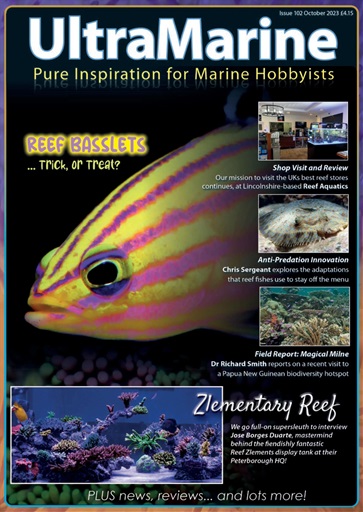 UltraMarine Magazine issue 