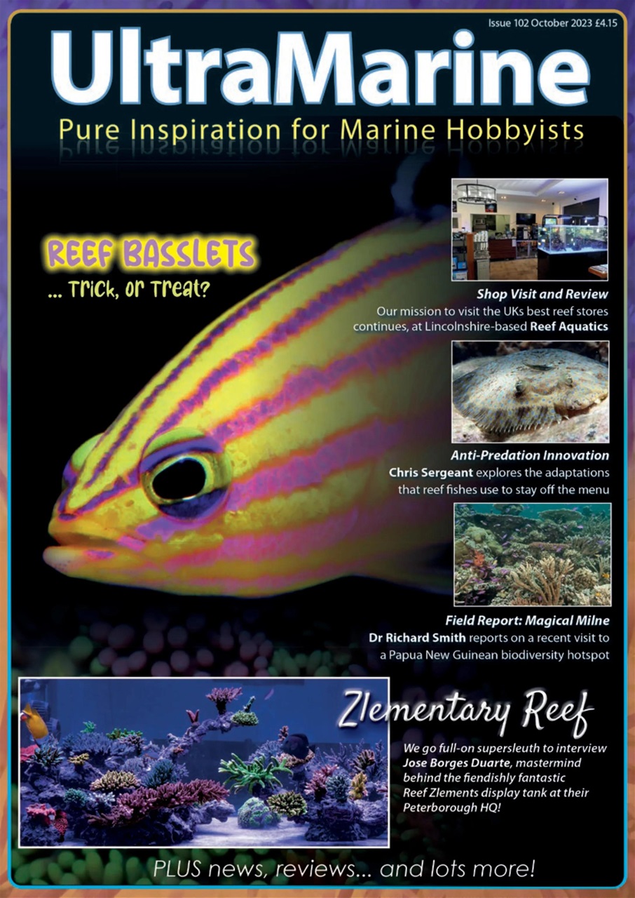 UltraMarine Magazine Preview Pages