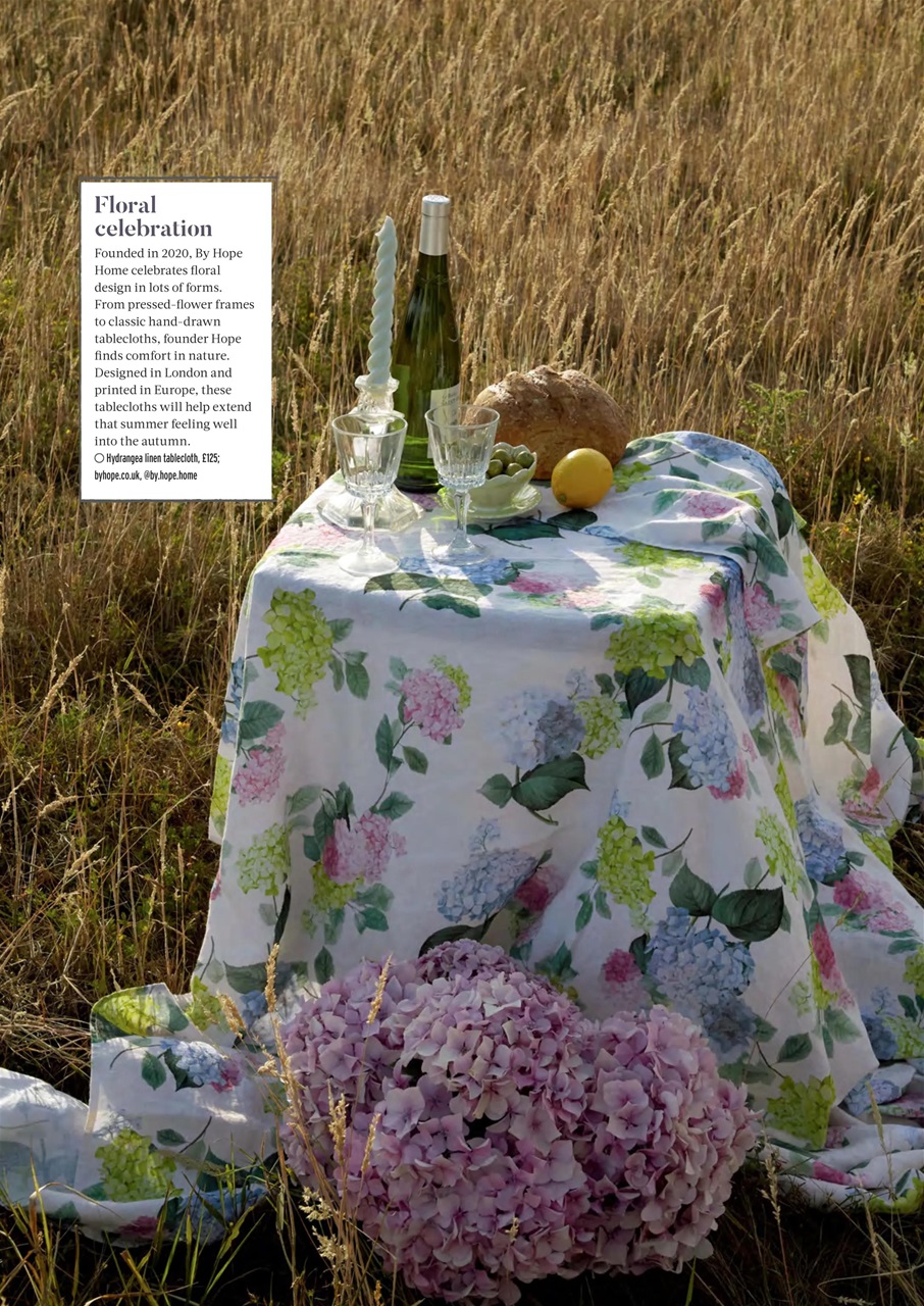 Reclaim Preview Pages