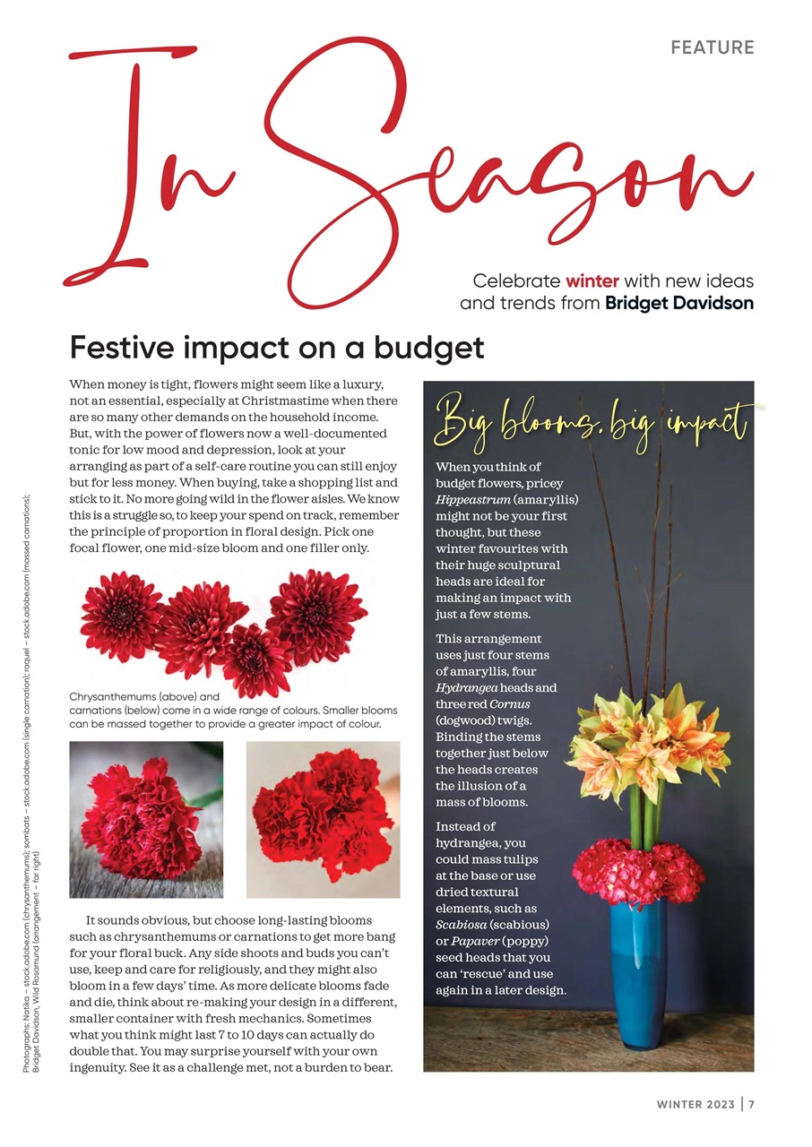 The Flower Arranger Preview Pages