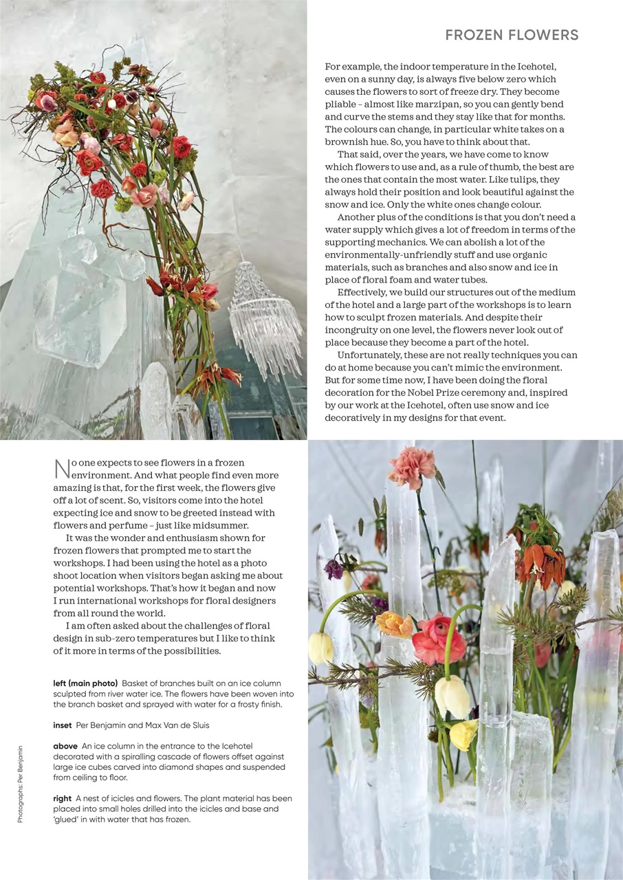 The Flower Arranger Preview Pages